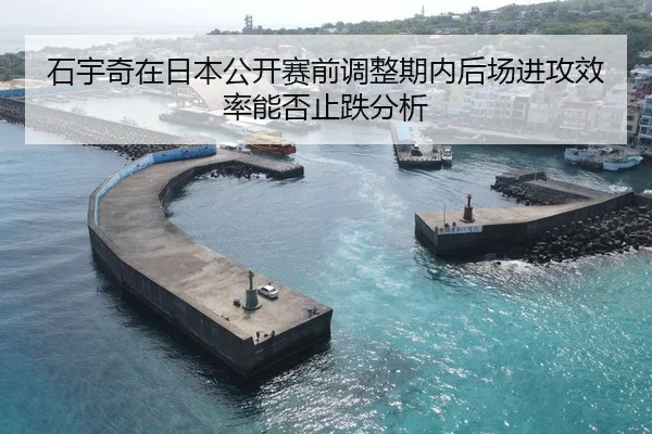 石宇奇在日本公开赛前调整期内后场进攻效率能否止跌分析