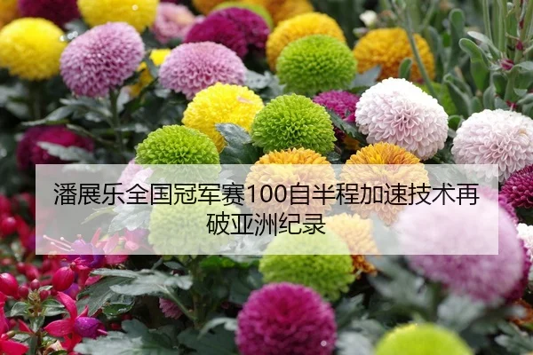 潘展乐全国冠军赛100自半程加速技术再破亚洲纪录